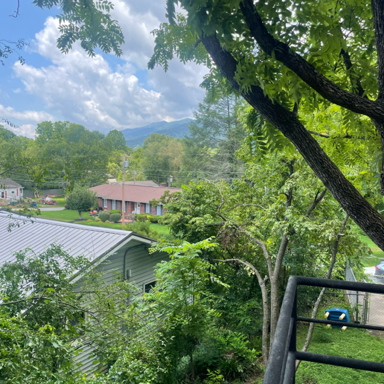 mountain view from the balcony off the back of church street studios